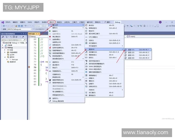 解决VS2017调试功能变灰的常见原因及解决方案详解